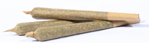 Next Friday – Blueberry Fuego | 3×0.5g Indica | G's Cannabis Corp