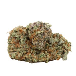 Bold Glazed-Critical Kush Dried Flower I 28gm